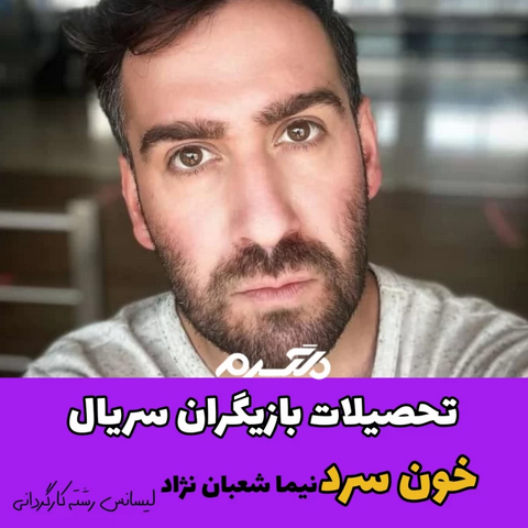 تحصیلات بازیگران سریال خون سرد