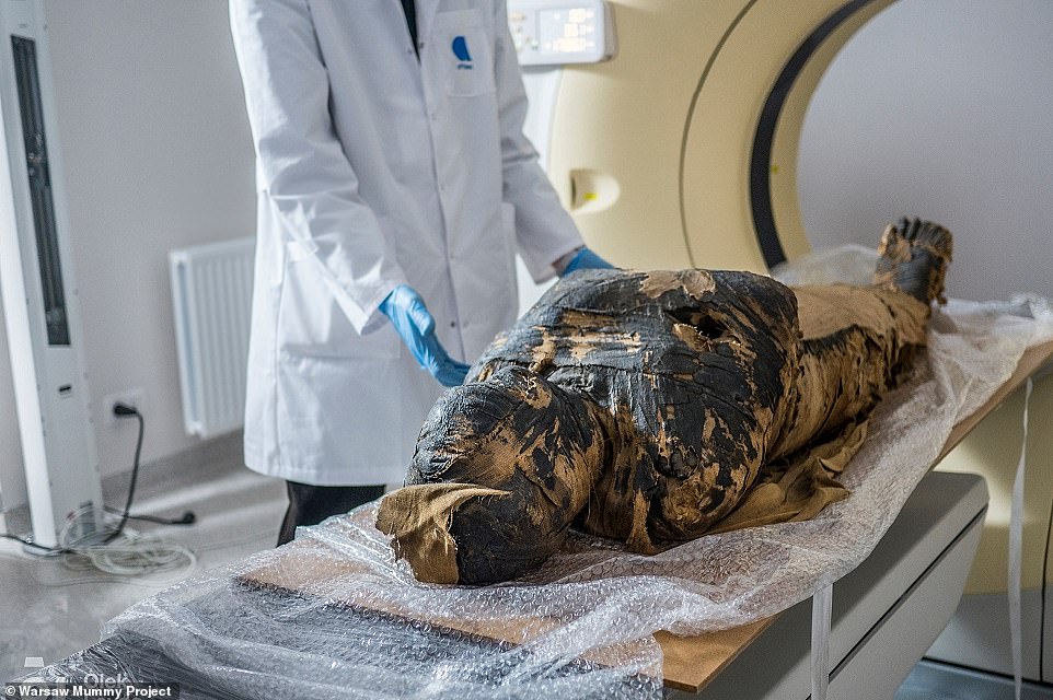 60121891-11411933-A_2_000_year_old_Egyptian_mummy_nicknamed_the_Mysterious_Lady_is-a-39_1668076478859