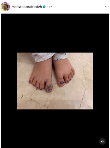 محسن تنابنده