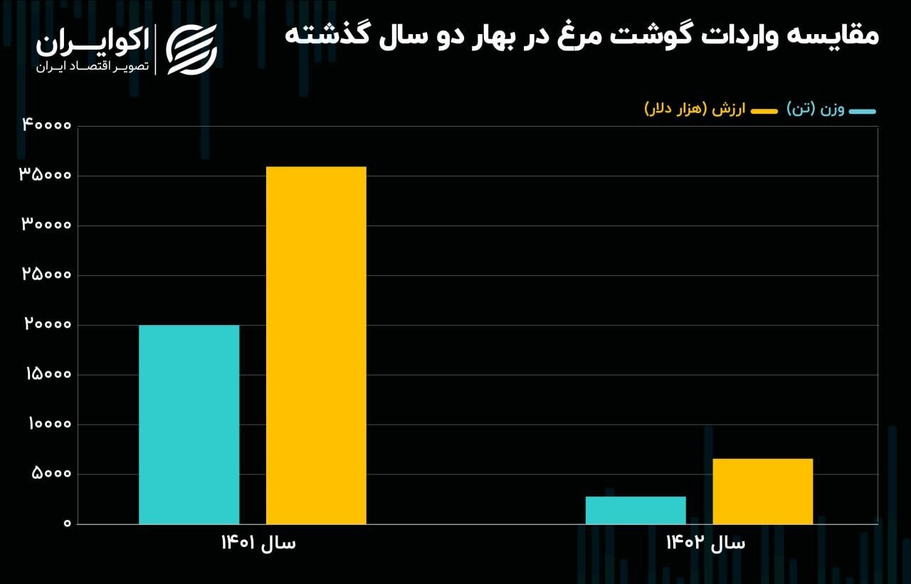علت گران شدن قیمت مرغ مشخص شد