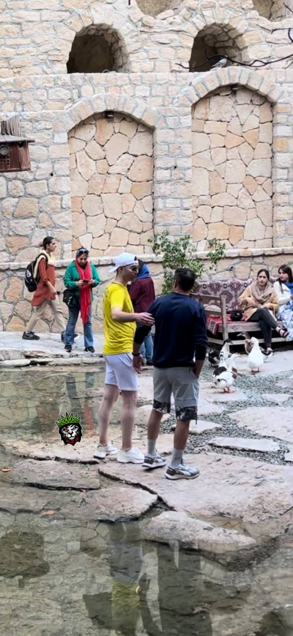 photo_2023-12-11_22-53-50