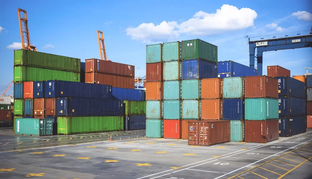 تصویری از گمرک