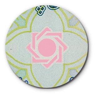 ایران چک سد کارون6