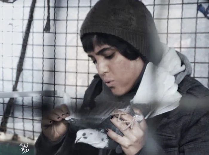 صحنه‌ای از فیلم ژن خوک