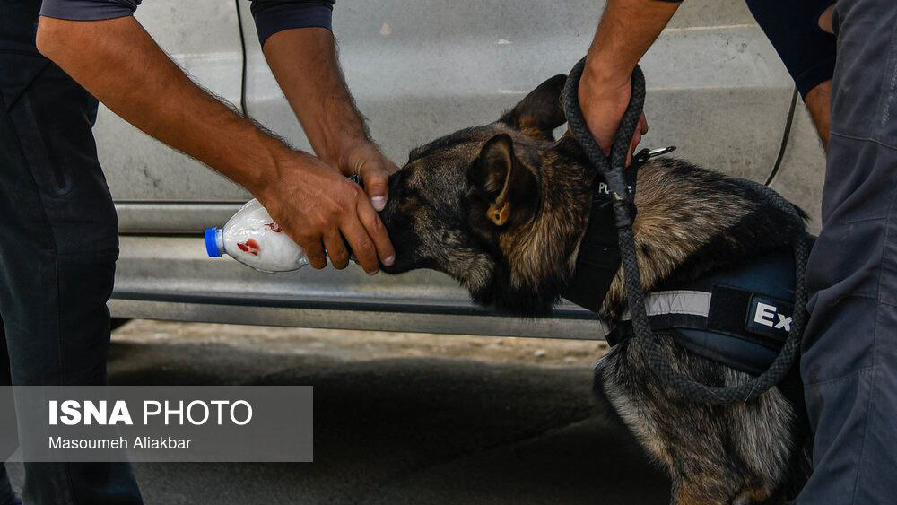 photo_2023-10-15_17-28-20