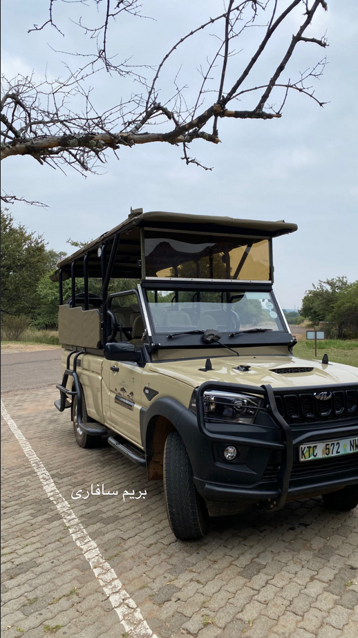 مینا مختاری/بهرام رادان