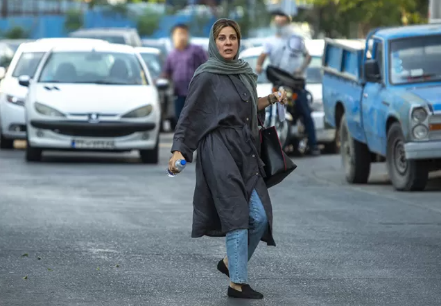 سینمایی علفزار 