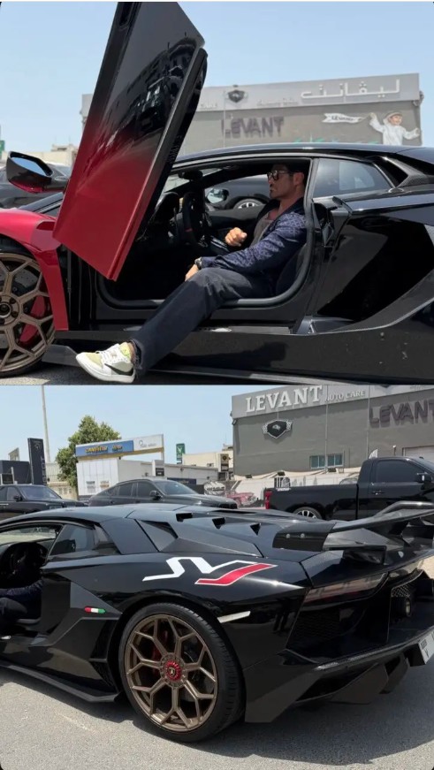 محمدرضا گلزار