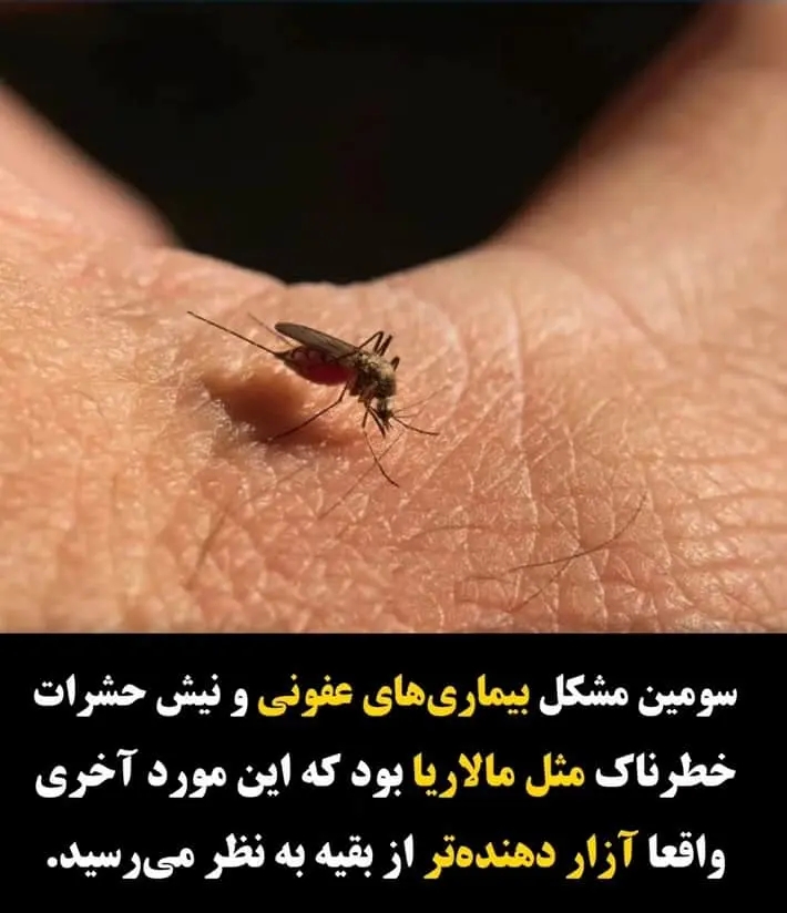 زن سوییسی به خاطر عشق به یک مرد آفریقایی خیانت کرد.