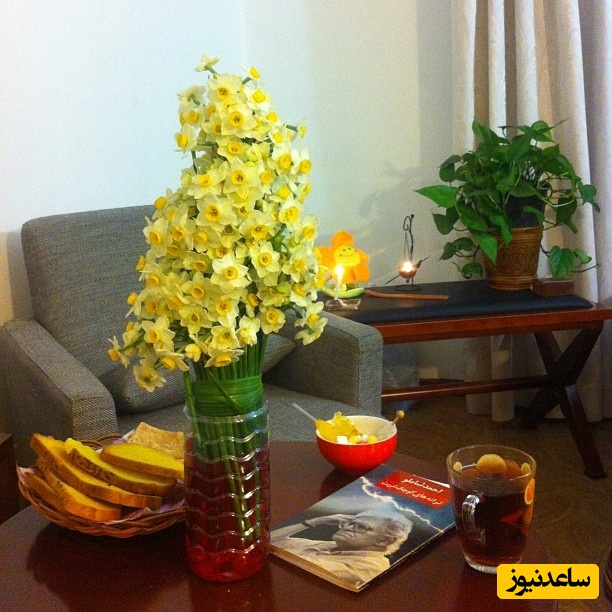 منزل مهراوه شریفی نیا