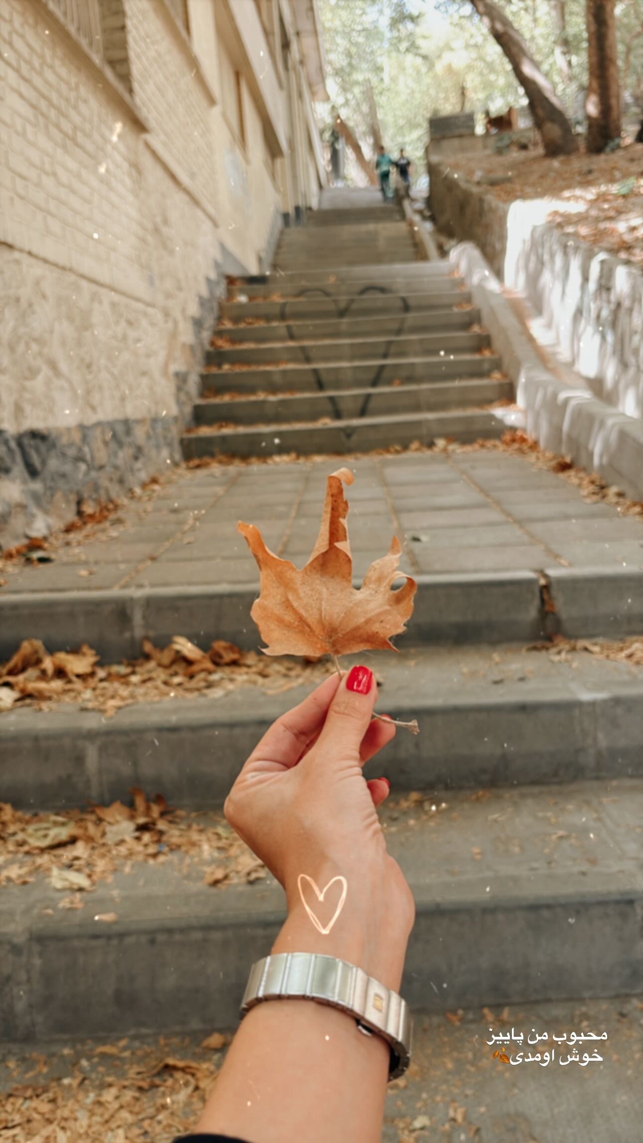 عکس پاییزی الناز حبیبی