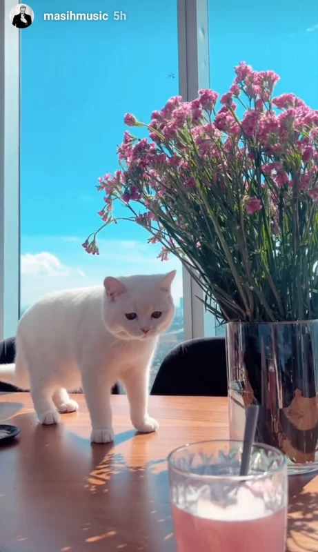 حیوان خانگی کیوت و بامزه مسیح عدل پرور مخاطبینش را سر ذوق آورد