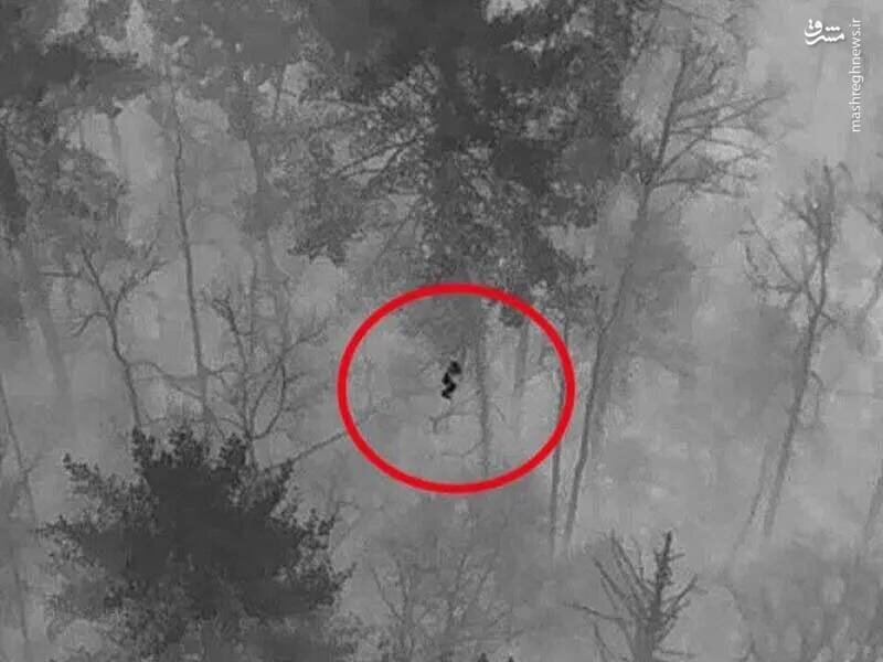 ماجرای عجیب انسان‌هایی که ناپدید و دهه‌ها بعد زنده پیدا شدند
