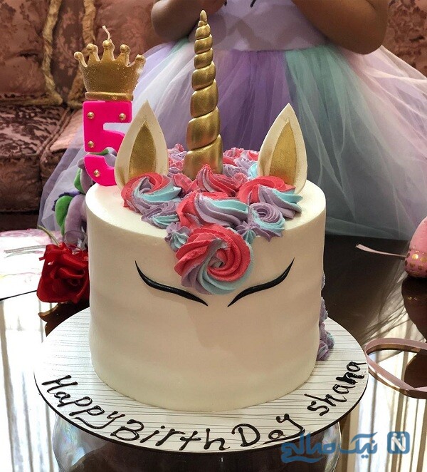 birth-of-shabnam-gholikhani-daughter