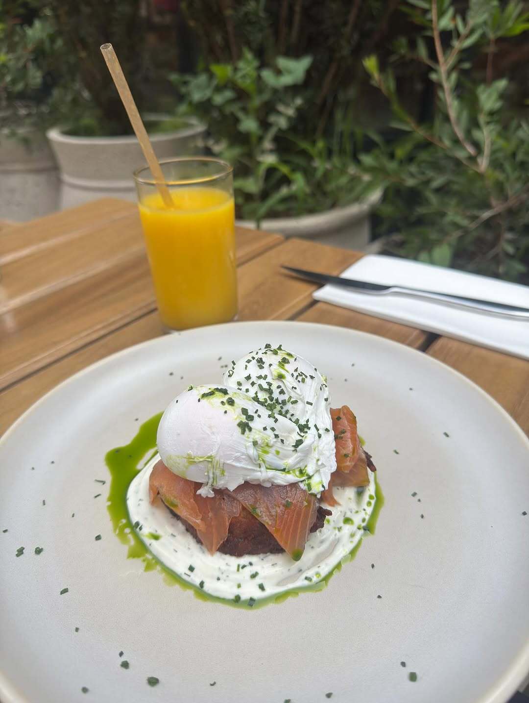 تصویر 1 شبنم قلی‌خانی