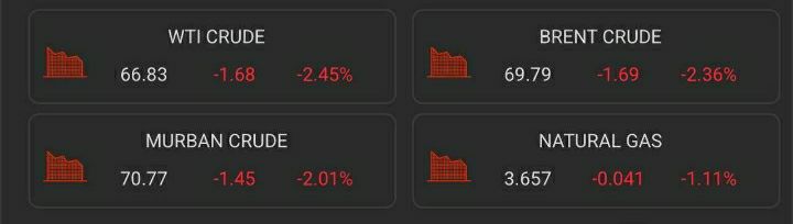 IMAGE 2025-06-24 08_11_59