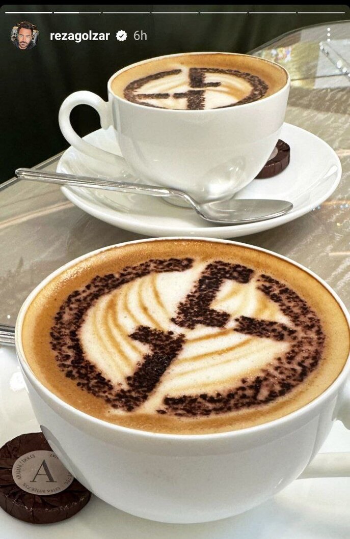 تصویر محمدرضا گلزار و همسرش