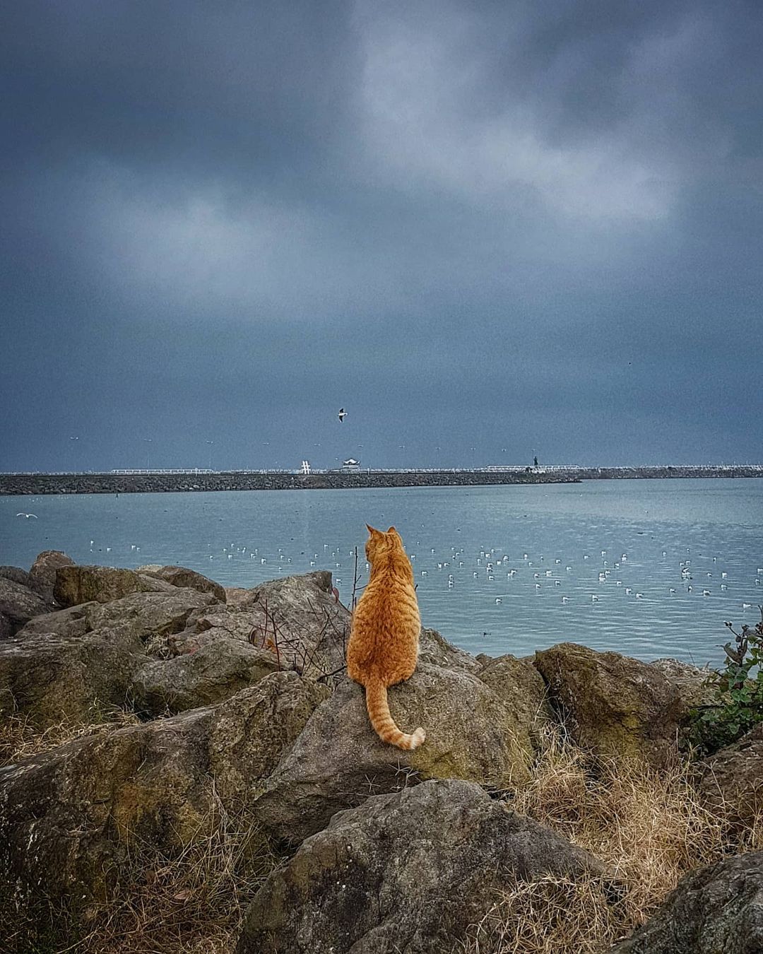 unknown_155880416_187624696099998_8363987013298067824_n