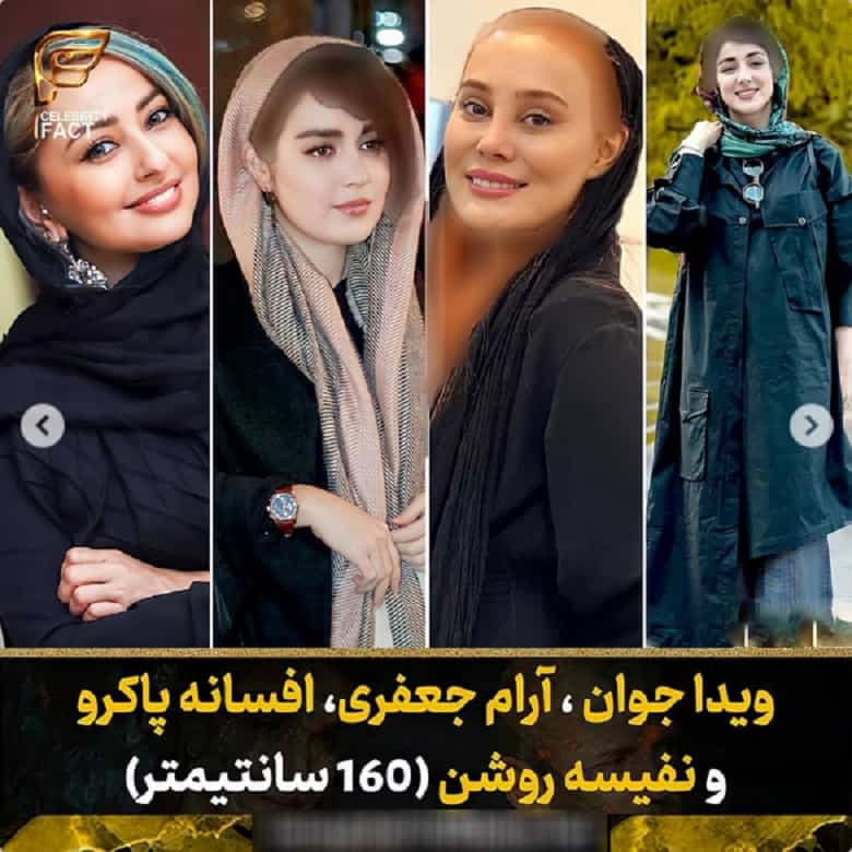 ویدا جوان، آرام جعفری، افسانه پاکرو، نفیسه روشن قدشان کوتاه است.