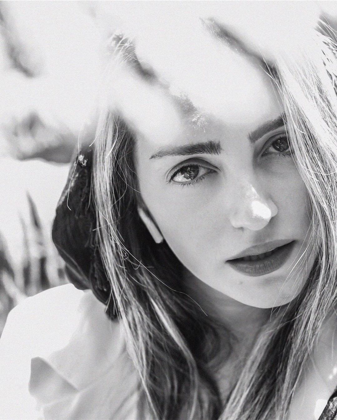 unknown_293853741_460596362110991_7372291076688917919_n