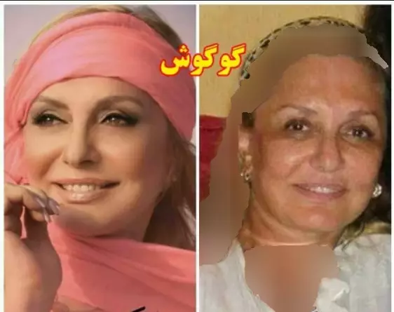 چهره واقعی و پیر گوگوش بدون گریم لو رفت/ عکس