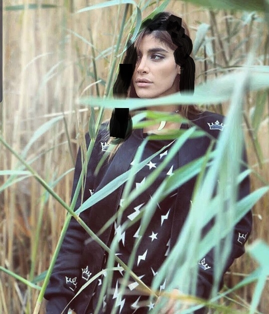 زن دوم شهاب حسینی