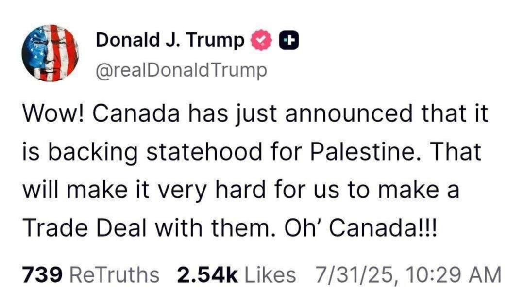 IMAGE 2025-07-31 09_46_41