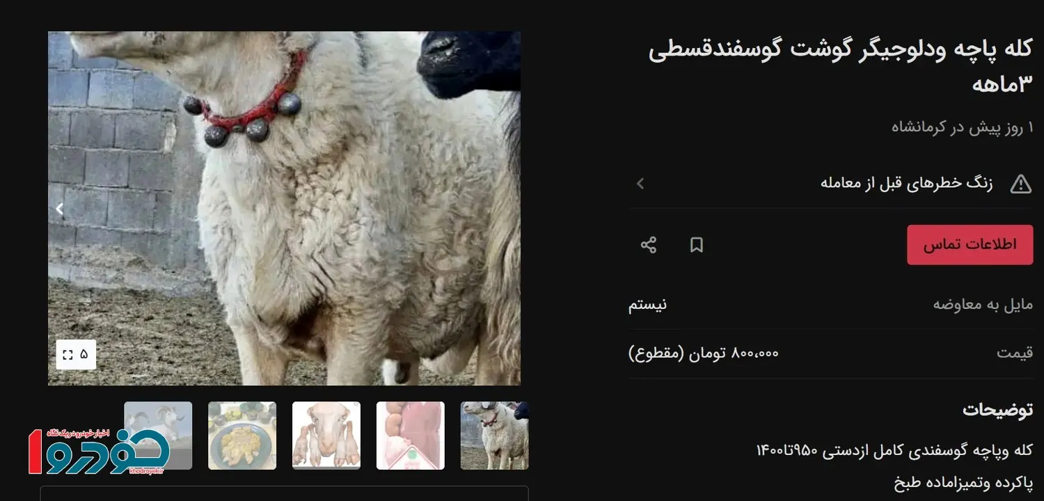 کله-پاچه-قسطی