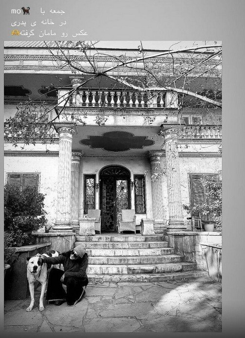 تصویر آناهیتا درگاهی