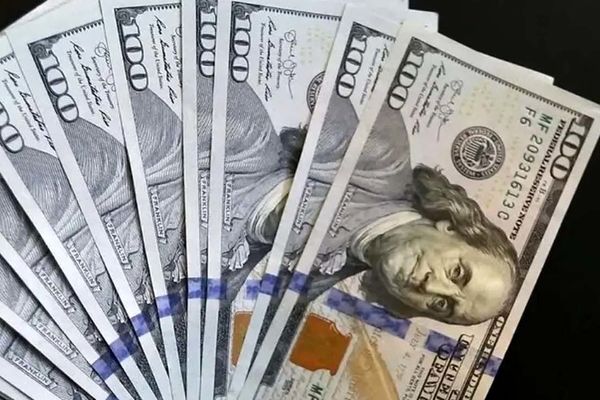 
فعالان اقتصادی نگران بی‌ ثباتی ارزی و آینده مبهم اقتصاد
