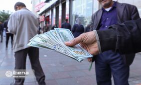 خوشبینی معاون اسبق وزیر اقتصاد به موفقیت فرزین / بازار ارز آرام می شود!