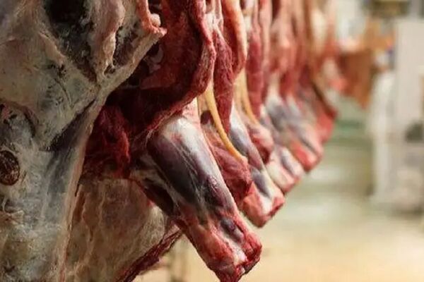 پشت ماجرای عرضه گوشت بوفالو در بازار چیست؟