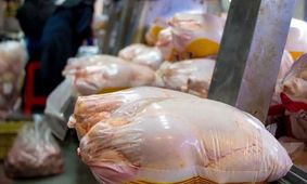 قیمت گوشت مرغ امروز کیلویی چند شد؟+جدول