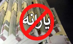 یارانه نقدی کدام خانوار در 1403 قطع می شود؟ 