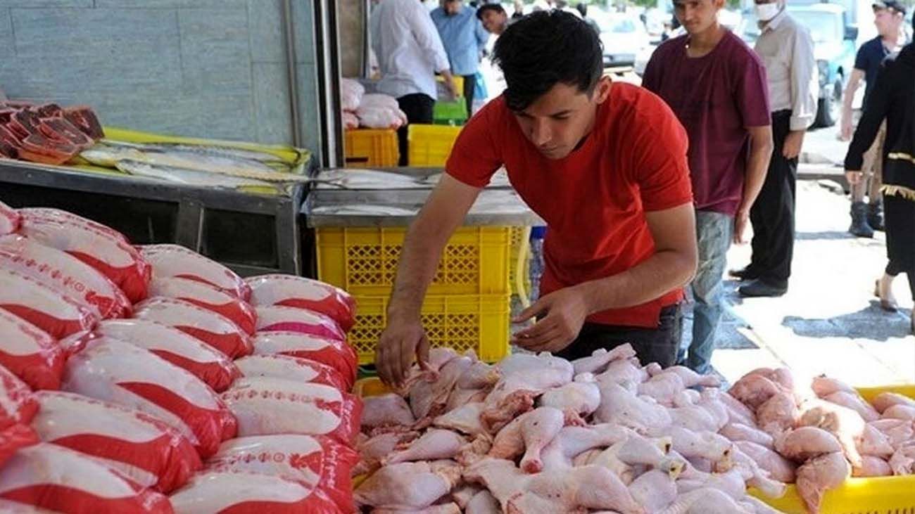  پیش‌بینی قیمت مرغ تا پایان سال 