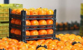 میوه عیدانه در حال توزیع است