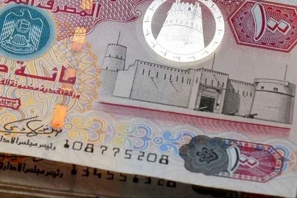 قیمت درهم امروز شنبه 25 بهمن 1404