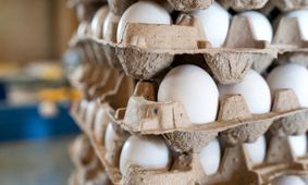 قیمت نهایی تخم مرغ اعلام شد / بالاتر از این قیمت نخرید !