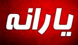 یارانه و کالابرگ این خانوارها به زودی سه برابر می شود 