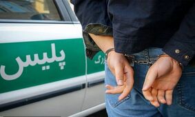 کلاهبرداری در یک دفتر هواپیمایی / مدیرعامل بازداشت شد  + جزییات