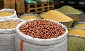  برنج و حبوبات ارزان شد/ لوبیا قرمز و چیتی چند؟ 