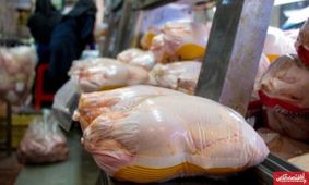 توزیع مرغ دولتی آغاز شد؛ قیمت مرغ کیلویی ۸۶ هزار تومان!