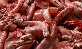 قیمت گوشت قرمز امروز ۲۵ شهریور ۱۴۰۴ اعلام شد + جدول