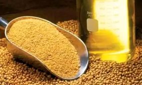 ثبت سفارش جدید واردات روغن خام از فردا شروع می‌شود