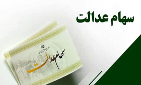 وراث سهام عدالت در انتظار پرداخت سود دیرکرد متوفیان