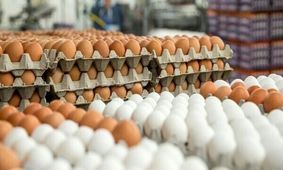 این خوراکی محبوب دیگر در سفره خانوار نیست + بررسی قیمت جدید