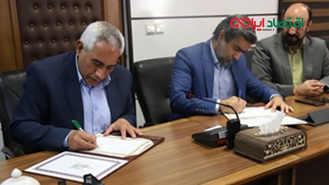 تفاهم‌نامه همکاری بین سازمان انرژی اتمی ایران و دانشگاه یزد امضاء شد