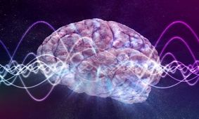 پژوهشی جدید: مغزهای دارای سطوح بالاتر ویتامین D، عملکرد بهتری دارند
