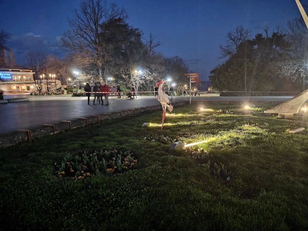 عکاسی در نور کم