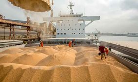 چرا واردات نهاده‌های کشاورزی با چالش کمبود ارز مواجه شده است؟